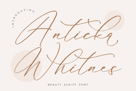 Anticka Whitnes: A Luxury Script Font That Elevates Real Branding