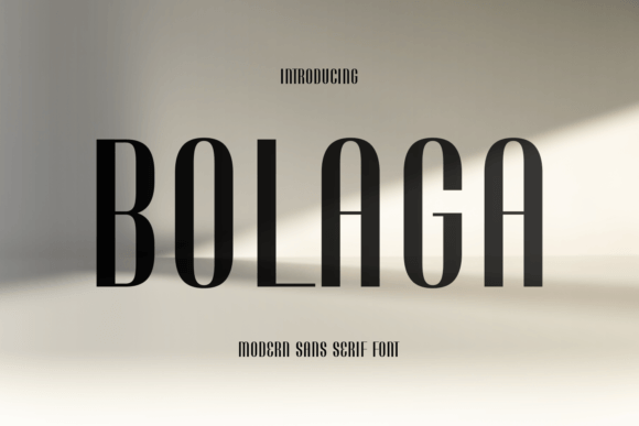 Bolaga: A Clean Sans Serif Font That Elevates Your Brand