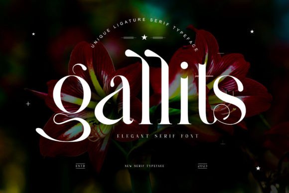 Gallits: A Serif Typeface That Elevates Real Small Business Branding