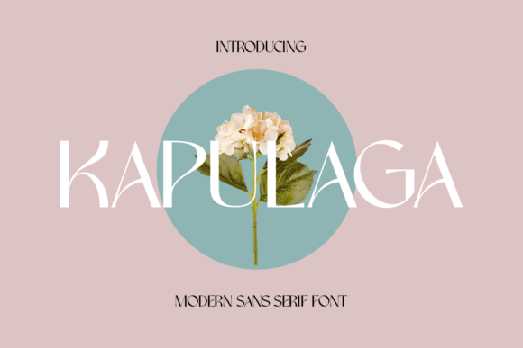 Kapulaga: A Clean Sans Serif Font That Elevates Your Brand