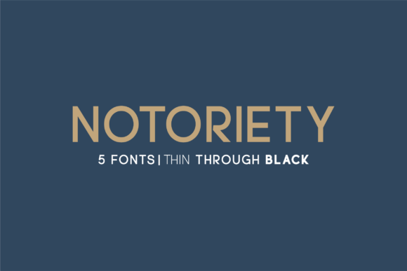 Notoriety: A Modern Sans Serif for Confident Digital Brands