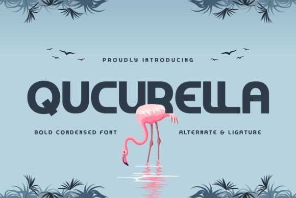 Qucurella: A Bold Sans Serif Typeface for Editorial Impact