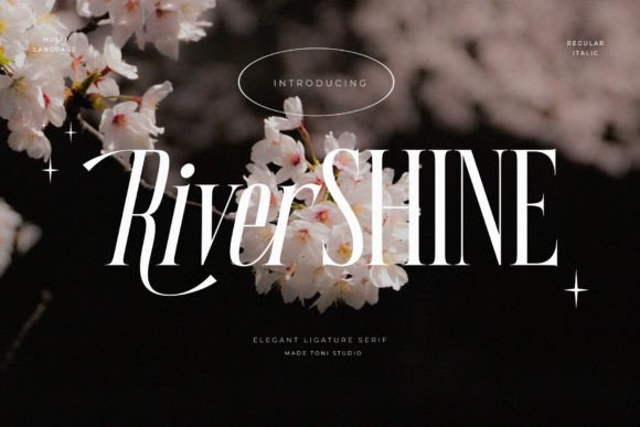 River Shine: A Sophisticated Serif Font for Campaign Headlines